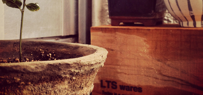 LTS wares